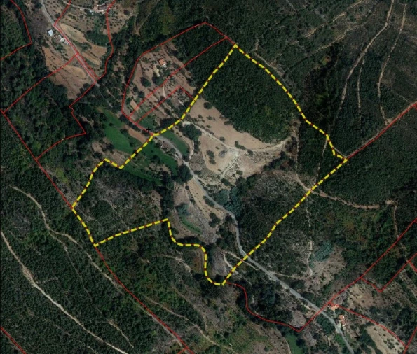 Quinta T5 para Venda em Alegrete Planta 1