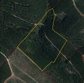 Quinta T3 para Venda em Alegrete