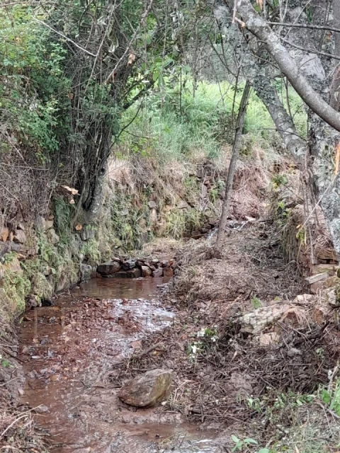 Quinta T3 para Venda em Alegrete