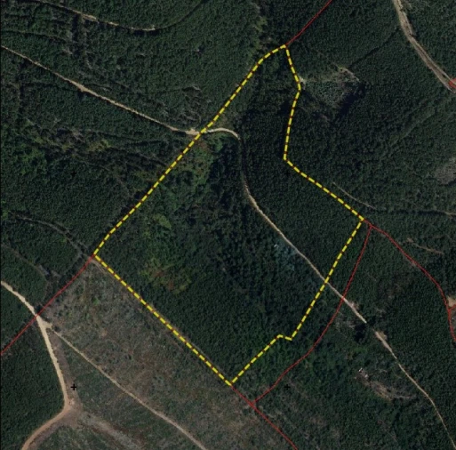 Quinta T3 para Venda em Alegrete Planta 1