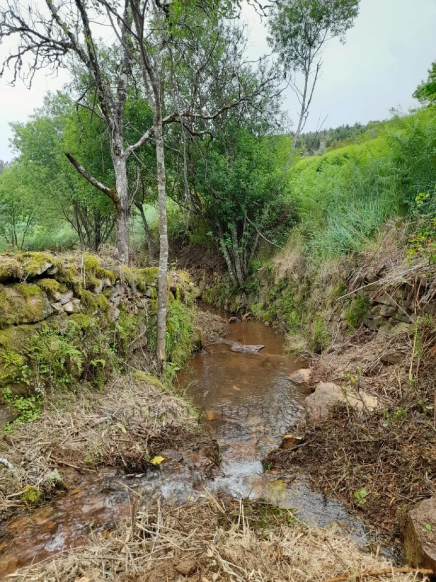 Quinta T3 para Venda em Alegrete Foto 8