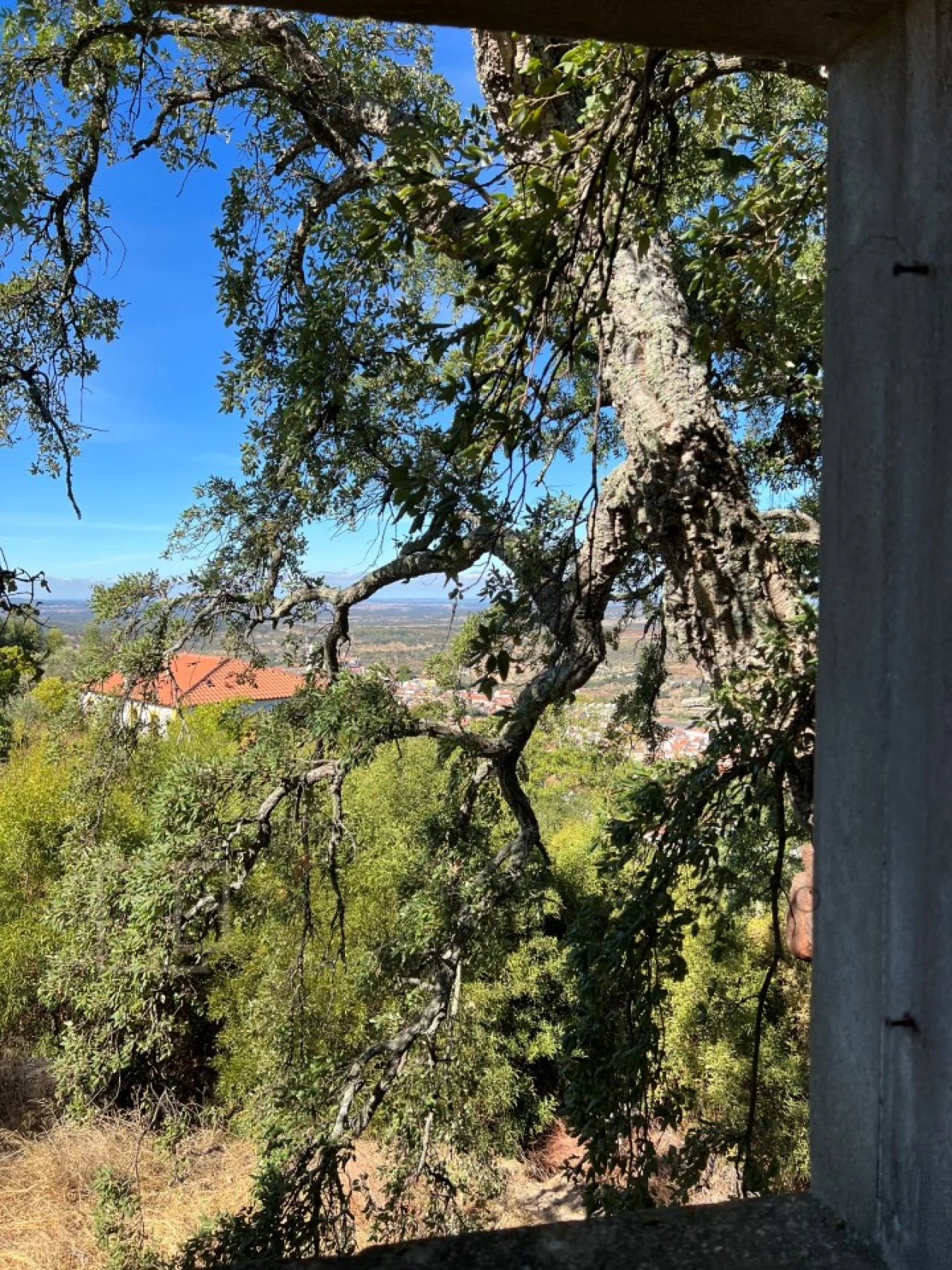 Quinta T9 para Venda em Sé e São Lourenço Foto 34