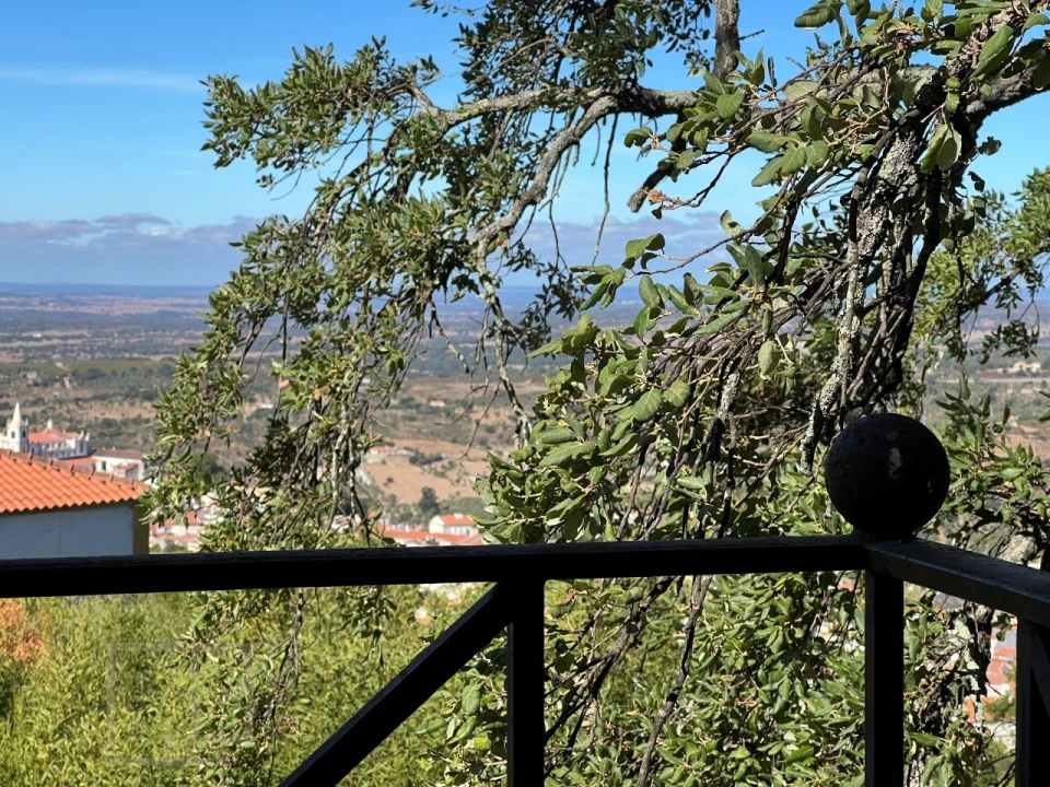 Quinta T9 para Venda em Sé e São Lourenço Foto 38