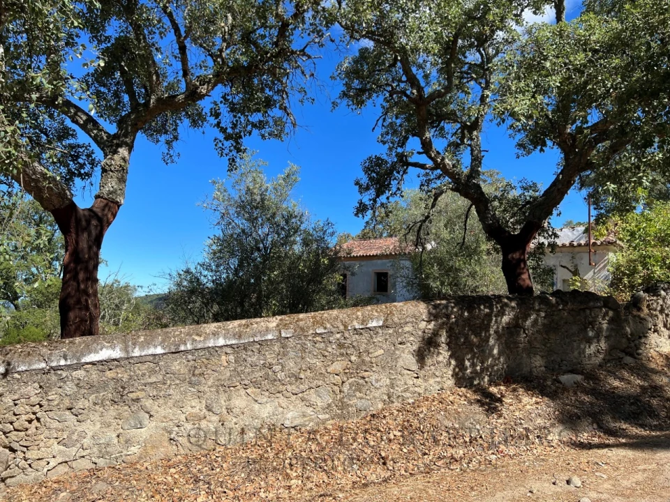 Quinta T9 para Venda em Sé e São Lourenço Foto 53