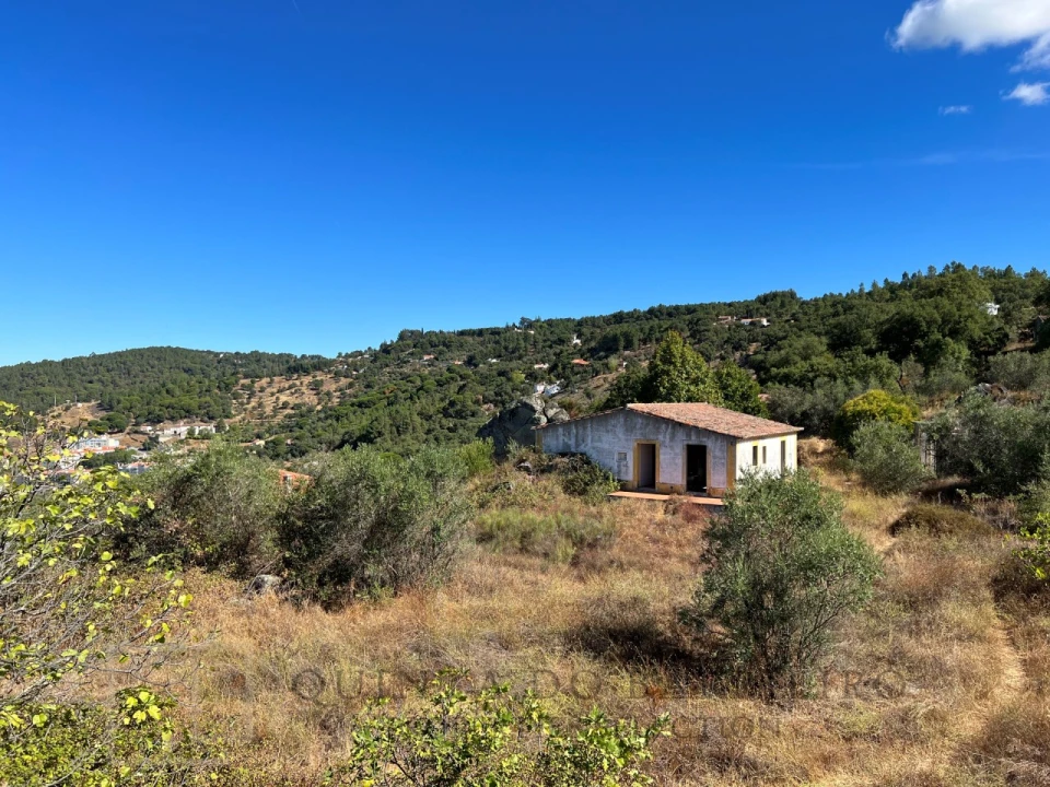 Quinta T9 para Venda em Sé e São Lourenço Foto 57