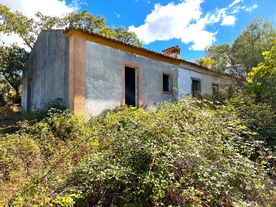 Quinta T9 para Venda em Sé e São Lourenço Foto 21