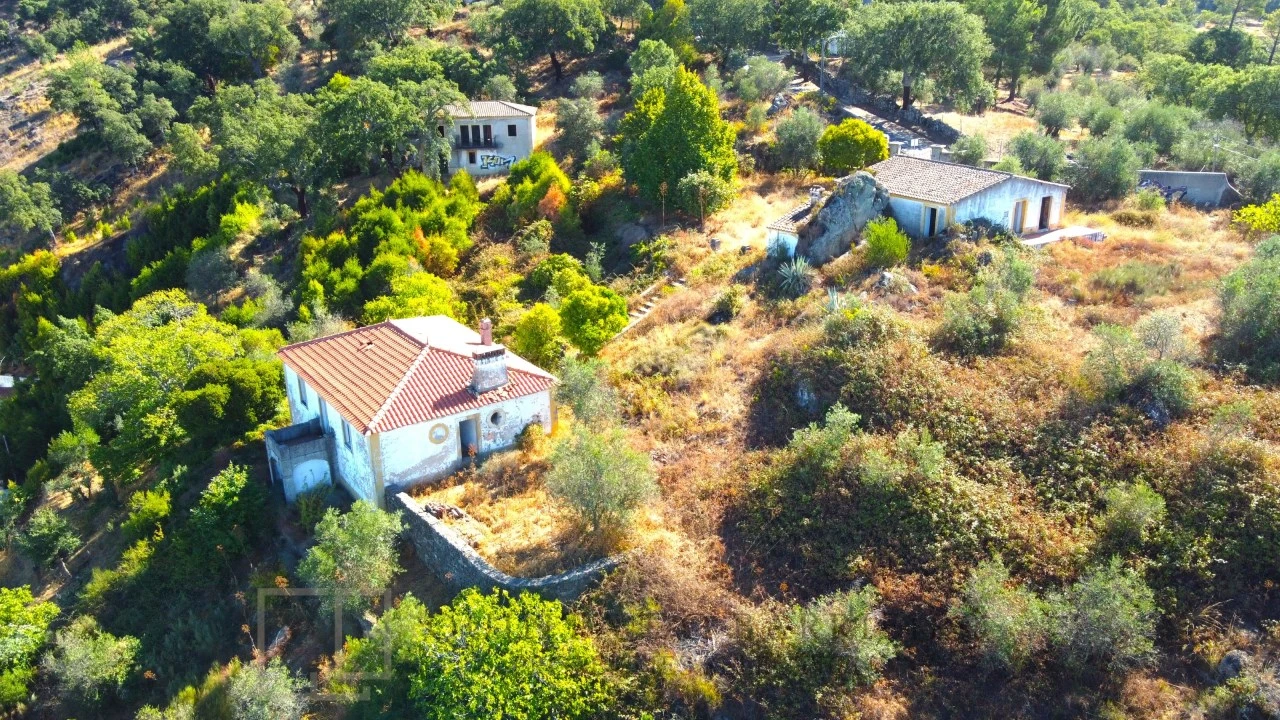 Quinta T9 para Venda em Sé e São Lourenço Foto 8