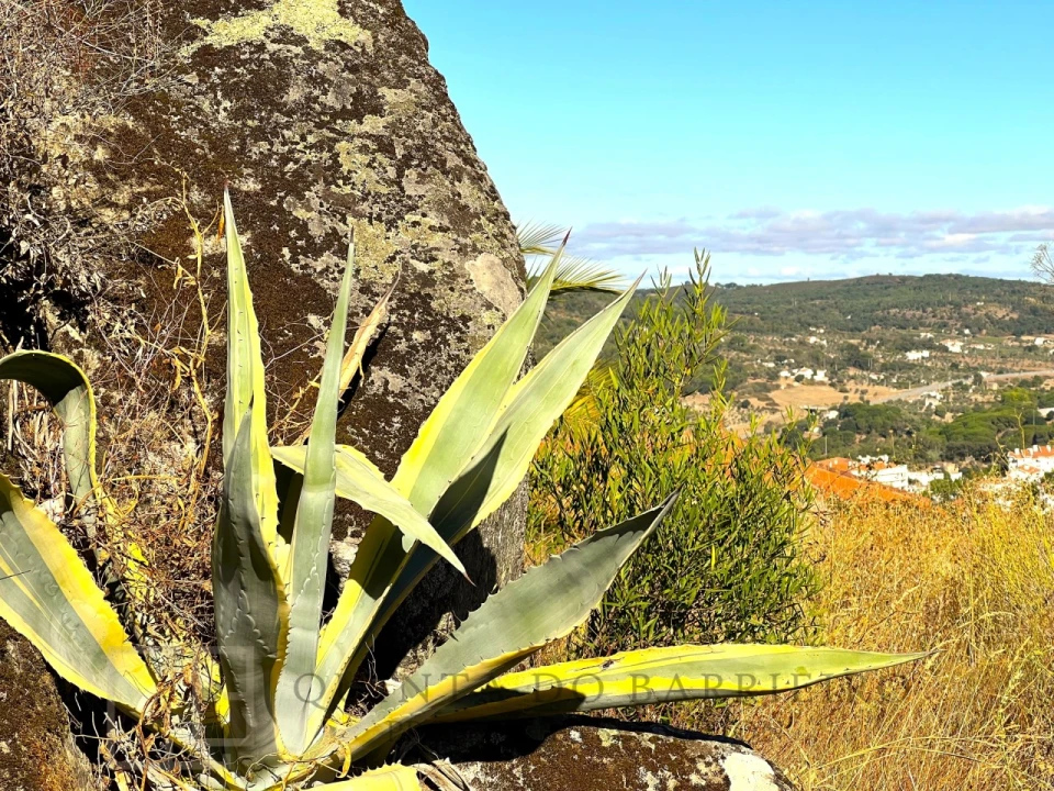Quinta T9 para Venda em Sé e São Lourenço Foto 78