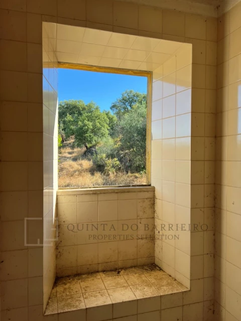 Quinta T9 para Venda em Sé e São Lourenço