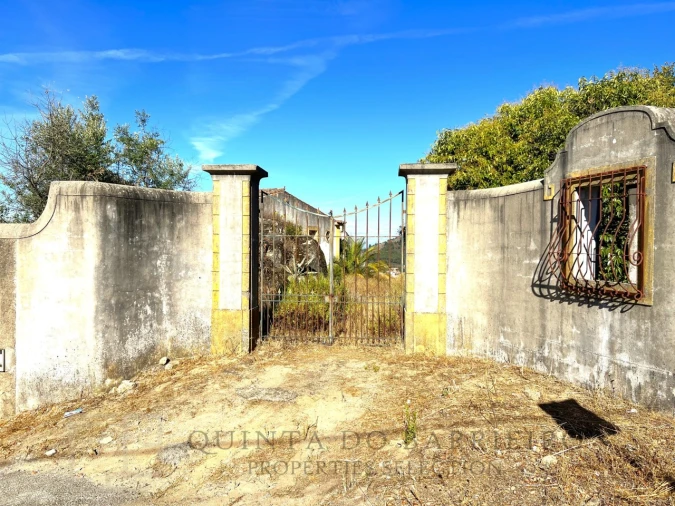Quinta T9 para Venda em Sé e São Lourenço Foto 9
