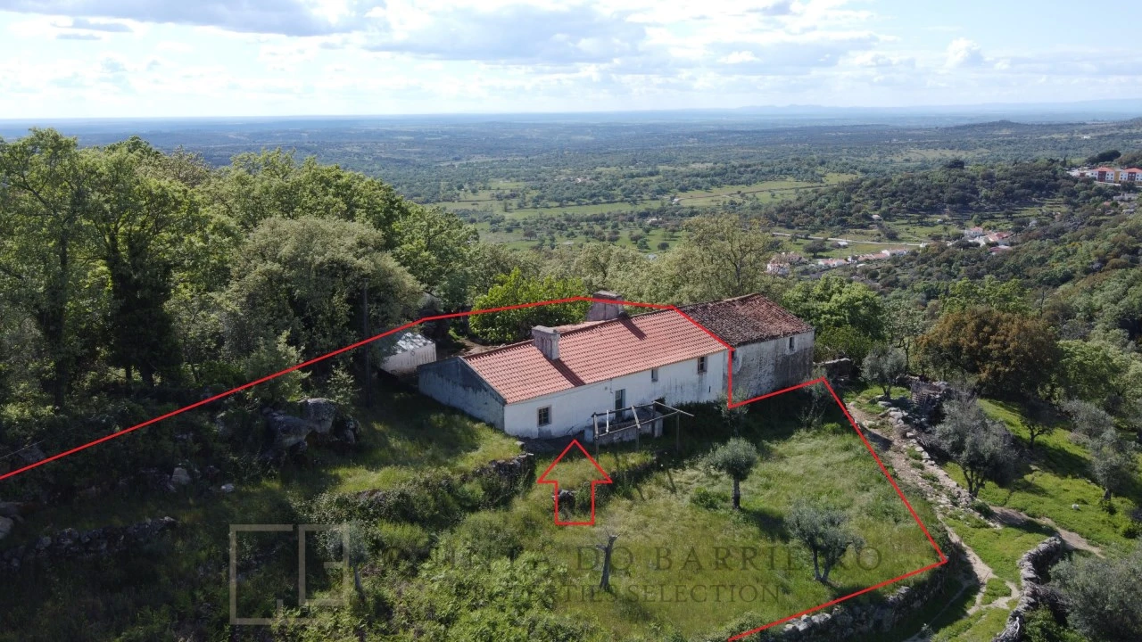 Quinta T2 para Venda em Ribeira de Nisa e Carreiras Foto 1