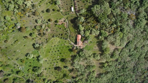 Quinta T2 para Venda em Ribeira de Nisa e Carreiras