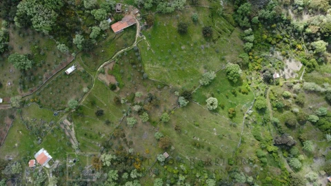 Quinta T2 para Venda em Ribeira de Nisa e Carreiras
