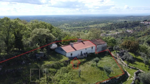 Quinta T2 para Venda em Ribeira de Nisa e Carreiras