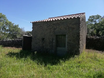 Quinta T2 para Venda em Ribeira de Nisa e Carreiras