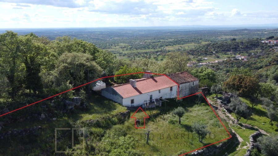 Quinta T2 para Venda em Ribeira de Nisa e Carreiras