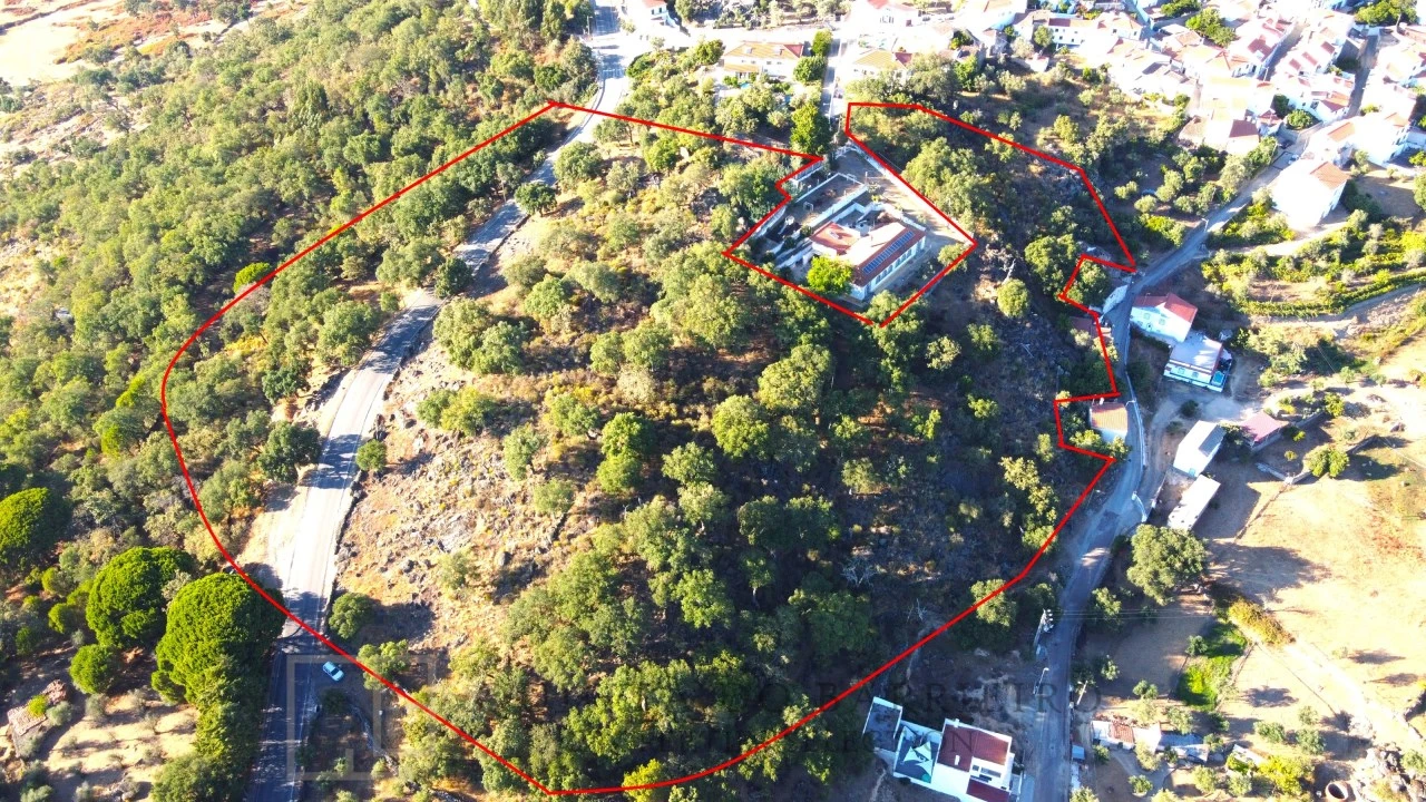 Terreno para Venda em Ribeira de Nisa e Carreiras Foto 1