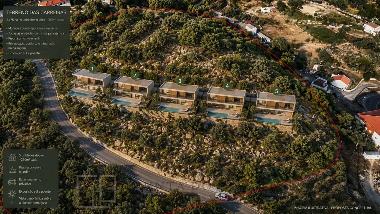 Terreno para Venda em Ribeira de Nisa e Carreiras Foto 1