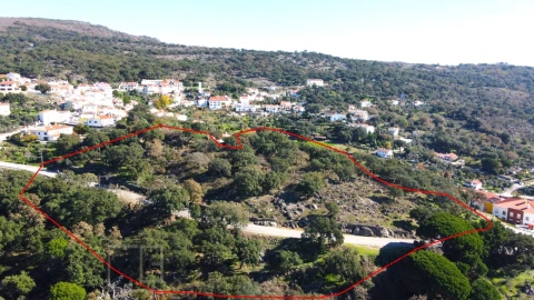 Terreno para Venda em Ribeira de Nisa e Carreiras