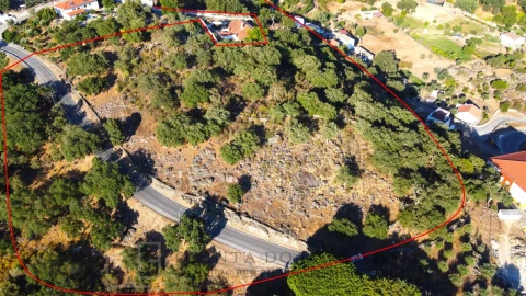 Terreno para Venda em Ribeira de Nisa e Carreiras