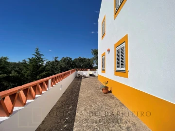 Quinta T12 para Venda em São Salvador da Aramenha