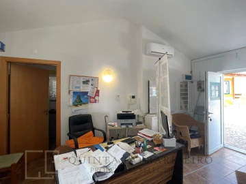 Quinta T12 para Venda em São Salvador da Aramenha