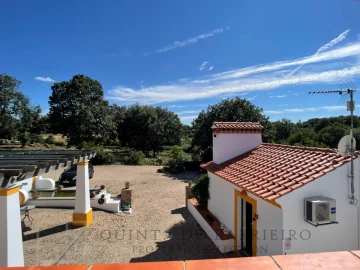 Quinta T12 para Venda em São Salvador da Aramenha