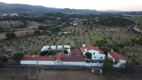 Quinta T7 para Venda em Sé e São Lourenço