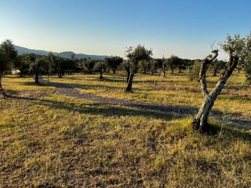 Quinta T7 para Venda em Sé e São Lourenço