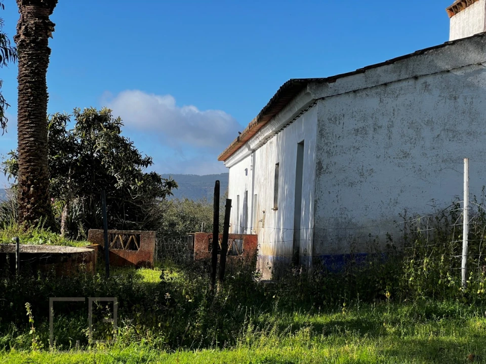 Quinta T6 para Venda em Rio de Moinhos Foto 8
