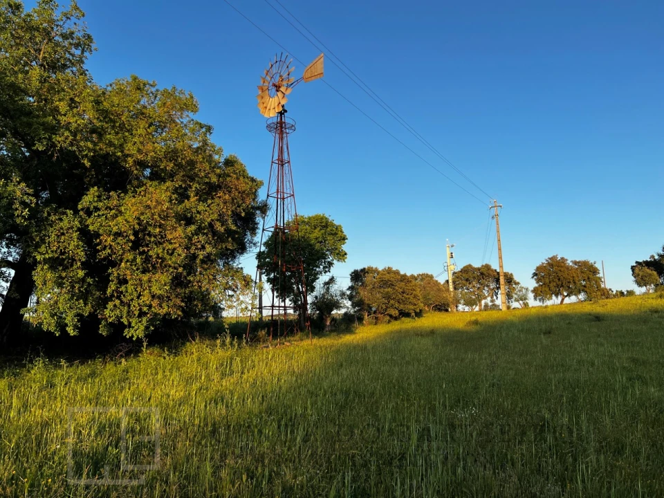 Quinta T6 para Venda em Rio de Moinhos Foto 51