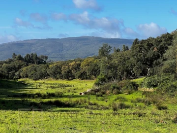 Quinta T6 para Venda em Rio de Moinhos