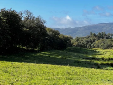 Quinta T6 para Venda em Rio de Moinhos