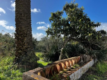 Quinta T6 para Venda em Rio de Moinhos