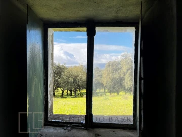 Quinta T6 para Venda em Rio de Moinhos