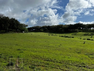 Quinta T6 para Venda em Rio de Moinhos