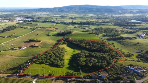Quinta T6 para Venda em Rio de Moinhos