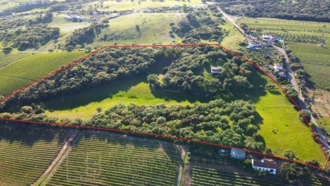 Quinta T6 para Venda em Rio de Moinhos