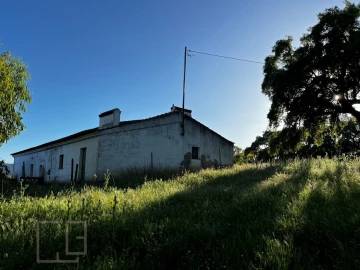 Quinta T6 para Venda em Rio de Moinhos