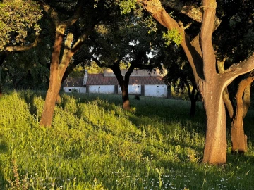 Quinta T6 para Venda em Rio de Moinhos