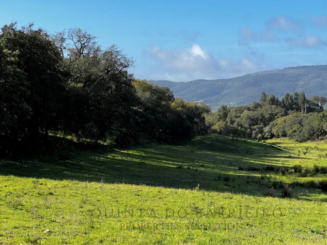 Quinta T6 para Venda em Rio de Moinhos Foto 14