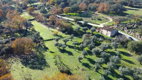 Quinta T5 para Venda em Santo Antonio das Areias