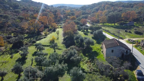 Quinta T5 para Venda em Santo Antonio das Areias