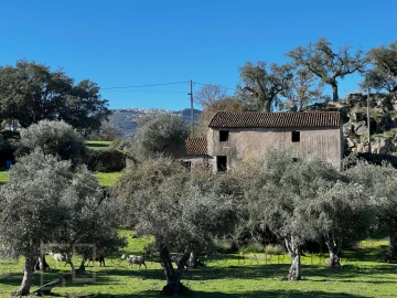 Quinta T5 para Venda em Santo Antonio das Areias