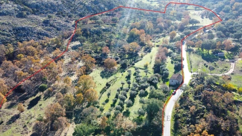 Quinta T5 para Venda em Santo Antonio das Areias