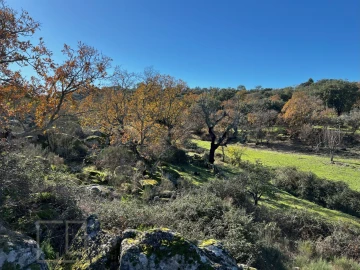 Quinta T5 para Venda em Santo Antonio das Areias