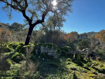 Quinta T5 para Venda em Santo Antonio das Areias