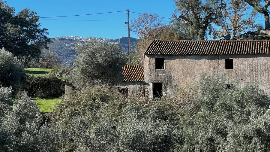 Quinta T5 para Venda em Santo Antonio das Areias
