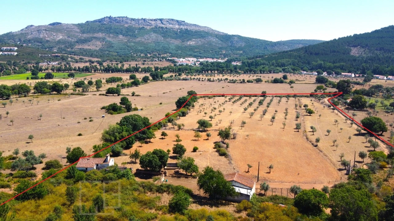 Quinta T2 para Venda em São Salvador da Aramenha Foto 5