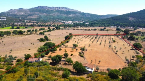 Quinta T2 para Venda em São Salvador da Aramenha